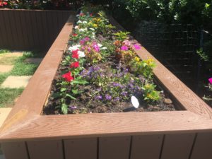 Flowers in Planter Box