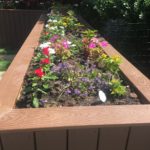 Garden Bed