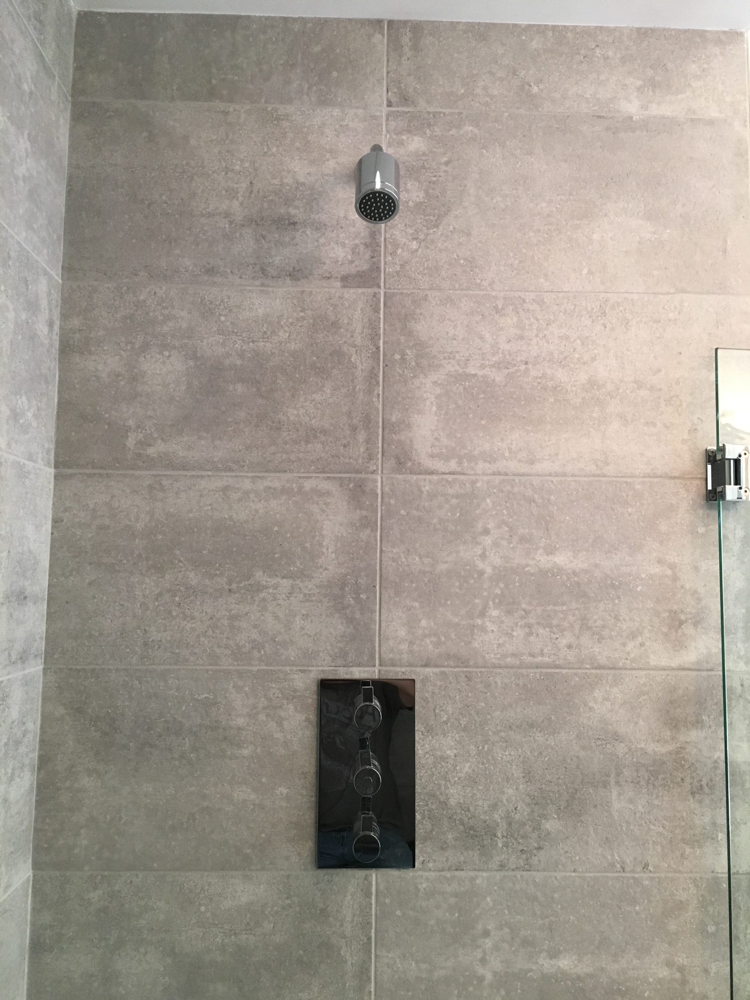 Summerfield Rain and Shower Head