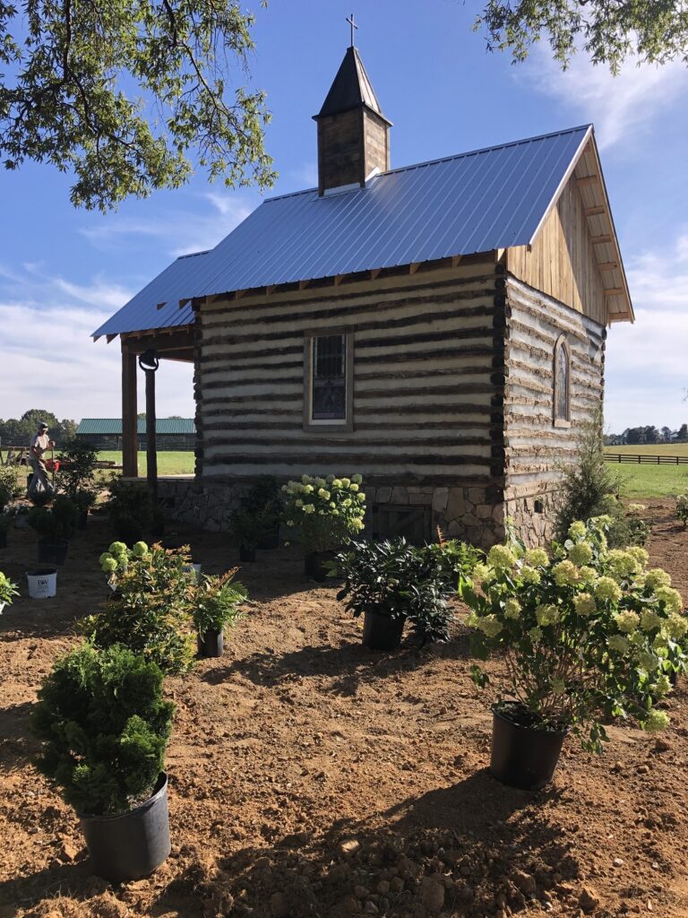 Side View